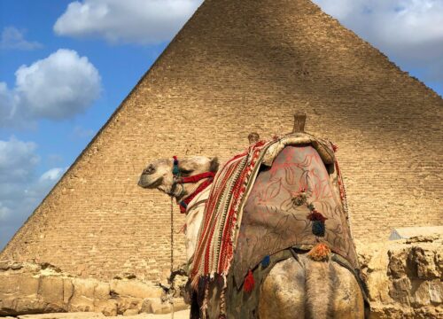 Day Tour to Giza Pyramids Memphis city and Saqqara Pyramids