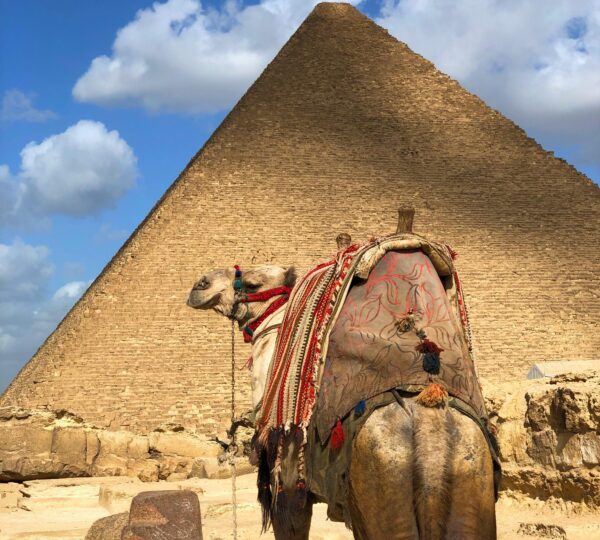 Day Tour to Giza Pyramids Memphis city and Saqqara Pyramids